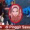 Wanita Cantik di Gowa Ditemukan Tewas di Sawah