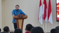 pemkot apii wk